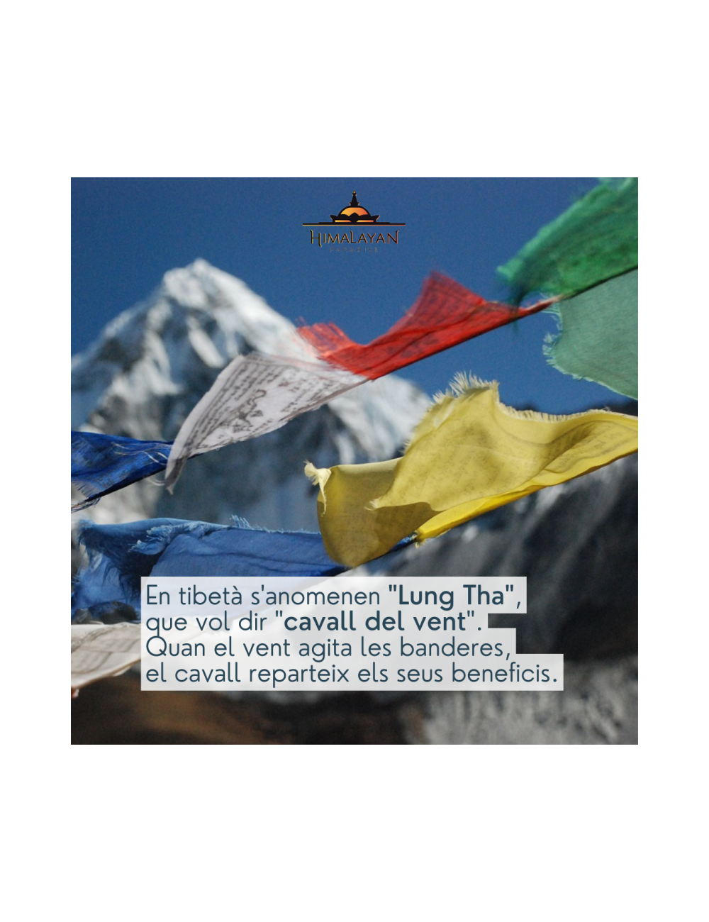 Banderas Tibetanas de 7 banderas de Chakra con texto - CompraIncienso